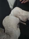 IMG_1257.jpeg