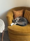 IMG_2702.jpeg