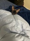 FB_IMG_1783739457797.jpg