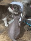 IMG_5025.jpeg