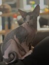 IMG_4352.jpeg
