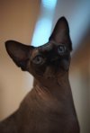 IMG_4351.jpeg