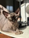 IMG_4339.jpeg