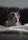 IMG_4357.jpeg