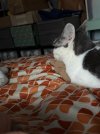 IMG_1443.jpeg