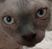 IMG_3873.jpeg