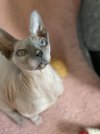 IMG_5942.jpeg
