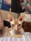 IMG_9106.jpeg