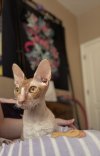 IMG_9104.jpeg