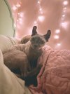 IMG_1385.jpeg