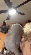 IMG_0381.jpeg