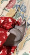 IMG_0414.jpeg