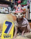 IMG_1703 Small.jpeg