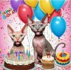 sphynx birthday party.jpg