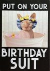 sphynx birthday suit.jpeg