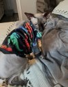 IMG_0046.jpeg