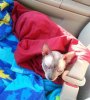 20130601_074255.jpg 20130601_074255.jpg