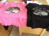 tshirts.jpg