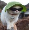 ImageUploadedByTapatalk HD1375965852.135559.jpg