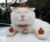 ImageUploadedByTapatalk1378039572.187140.jpg