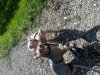 20130812_153052.jpg