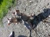 20130812_153044.jpg