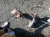 20130812_153025.jpg
