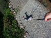 20130812_152301.jpg