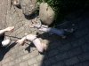 20130812_152202.jpg