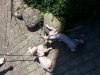 20130812_152156.jpg