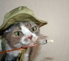 ImageUploadedByTapatalk1378101401.945129.jpg