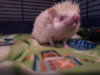 20131003_195520.jpg