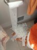 toiletpaper.jpg