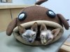 2011-01-25 11.18.17.jpg