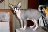100_0013.jpg