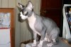 100_0015.jpg