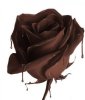 chocolate_flower-1339.86193223.jpg