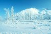 alaska-winter-wonderland_1972.jpg alaska-winter-wonderland_1972.jpg