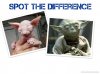 spot the differnce.jpg spot the differnce.jpg