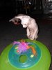 ImageUploadedByTapatalk1329027998.516568.jpg ImageUploadedByTapatalk1329027998.516568.jpg