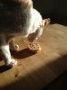 hansel eating 2.jpg