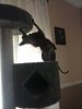 uploadfromtaptalk1402064176641.jpg
