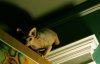 IMG_3875small.jpg
