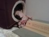 IMG00014-20110521-1622.jpg