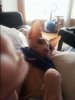 20150310_185856.jpg