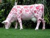 Cow-03.jpg