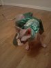 IMG_20120626_211911.jpg