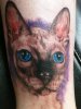 Ash Tat.jpg Ash Tat.jpg