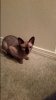 20151211_181119.jpg