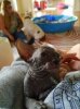 20160821_132418.jpg